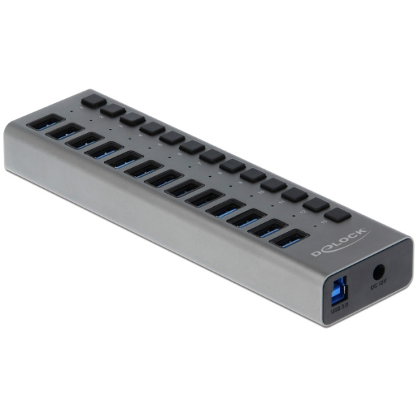 DELOCK USB hub 63738 με διακόπτες, 13x θυρών, 5Gbps, γκρι