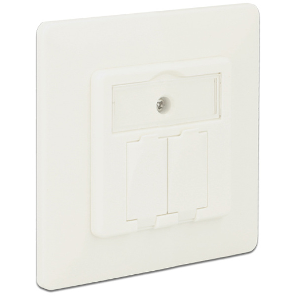 DELOCK Wall Outlet για Keystone 86219, 2 Port