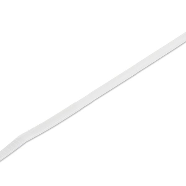 POWERTECH δεματικά καλωδίων TIES-063, 300x7.5mm, λευκά, 100τμχ