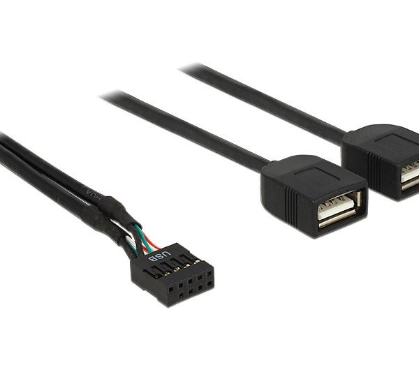 DELOCK καλώδιο USB-A interface σε 2x USB Type-A female 83823, 0.4m