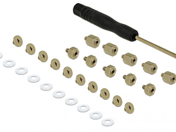 DELOCK κιτ συναρμολόγησης για M.2 SSD/Module 18288, 31τμχ