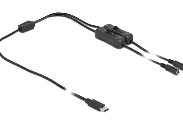 DELOCK καλώδιο USB Type-C σε 2x DC 5.5 x 2.1mm 86800, 1m, μαύρο